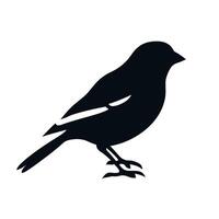 Silhouette of a small bird perched quietly on a branch against a minimalist background vector