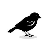 Black silhouette of a bird standing on a light background during daylight hours vector