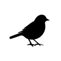 Silhouette of a small bird standing on the ground in minimalist style vector