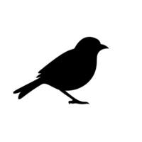 Black silhouette of a small bird walking on a light background vector