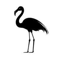 Flamingo silhouette standing elegantly with one leg raised in a minimalist design vector