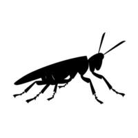 Detailed black silhouette of a grasshopper in a natural setting during daylight hours vector