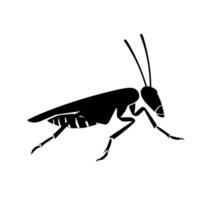 Black silhouette of a grasshopper on a light background, highlighting intricate features vector