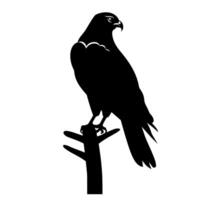 Black silhouette of a hawk perched on a tree branch against a white background vector