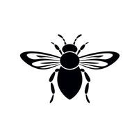 Detailed depiction of a black and white bee illustrating its distinct features in a minimalist style vector