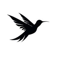 Hummingbird in flight showcasing graceful wings and distinctive shape against a simple background vector