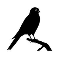 Bird silhouette perched on a branch against a light background vector