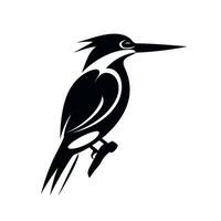 Black and white illustration of a kingfisher perched on a branch in a minimalist style vector