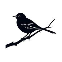 Bird sits on a branch with delicate features and a calm demeanor vector