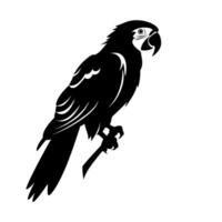 Detailed black silhouette of a parrot perched on a branch against a white background vector