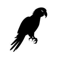 Silhouette of a parrot perched in a natural setting during sunset vector
