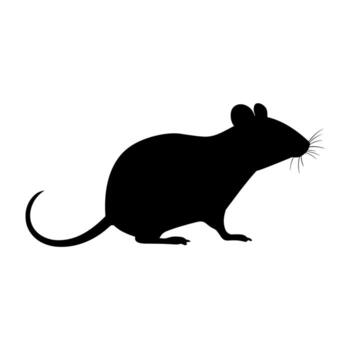Silhouette of a rat in profile view on a plain background vector