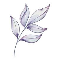 A detailed illustration of a branch with several elongated leaves rendered in a soft pastel palette. The graceful curves and subtle shading highlight the elegance of this botanical design, perfect for nature themed decor or artistic inspiration. vector