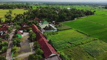 The view of the rice fields next to which there are residential areas. It looks very beautiful from above. Free Videos