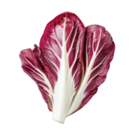 Collection of . A Red and White Radicchio Vegetable, isolated on a transparency background. png