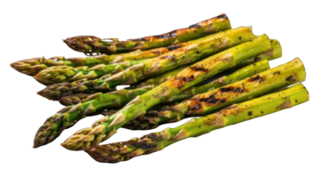Collection of . Grilled Shoots of Asparagus, isolated on a transparency background. png