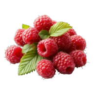 Collection of . A Cluster of Ripe Red Raspberries on a Branch with Green Leaves, isolated on a transparency background. png