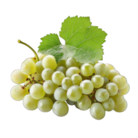 Collection of . A Cluster of Green Grapes with Leaf, isolated on a transparency background. png