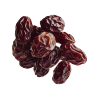 Bunch of dates without background png