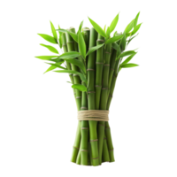 Fresh Bamboo Stalks on Transparent Background png