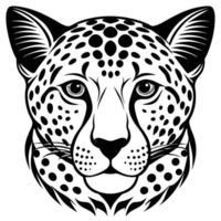 illustration of a leopard head vector