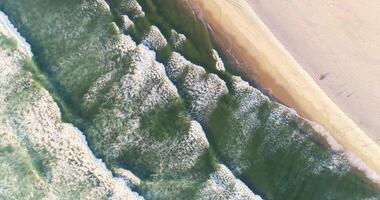 Top-down aerial view of rolling waves at the sandy beach. Drone zenithal footage. Summer background concept video