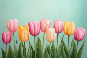 Colorful bouquet of tulips arranged on a soft blue background in spring photo