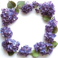 Beautiful watercolor illustration of hydrangea flowers arranged in a decorative frame photo