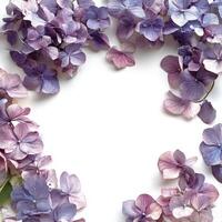 Beautiful watercolor illustration of hydrangea flowers arranged in a decorative frame photo