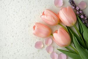 Beautiful arrangement of pink tulips and lavender on a light textured surface photo
