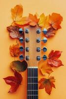 Acoustic guitar with autumn leaves arranged on a light blue background photo
