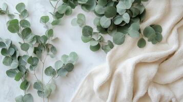 A white towel with eucalyptus leaves on it photo