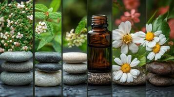 Essential oils and stones on a wooden background photo