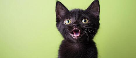 A black cat with its mouth open and eyes wide open photo