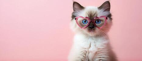 A cat wearing pink heart shaped glasses photo