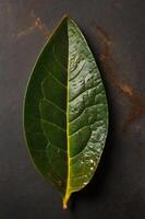 A single green leaf displayed on a dark surface, showcasing its texture and shape. photo