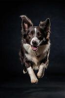 A dog joyfully leaps in mid-air against a dark background, showcasing its playful energy. photo