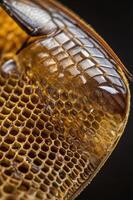 Close-up of a honeycomb structure showcasing its intricate hexagonal patterns. photo