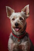 A close-up portrait of a dog with large ears and a playful expression against a red background. photo