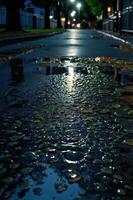 A wet street reflecting light and scattered leaves after rain. photo