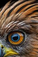 Close-up of a bird's eye, showcasing intricate details and vibrant colors. photo