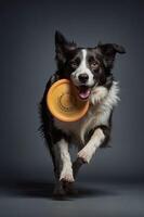 A joyful dog running with a frisbee in its mouth, showcasing playfulness and energy. photo