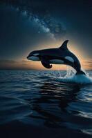 A majestic orca leaps from the ocean under a starry sky, creating a stunning visual spectacle. photo
