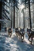 A pack of wolves running through a snowy forest with sunlight filtering through the trees. photo