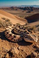 A camouflaged snake resting on sandy terrain in a desert landscape. photo