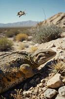 A lizard rests on rocky terrain with a distant grasshopper flying above in a desert landscape. photo