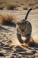 A leopard sprinting across sandy terrain, kicking up dust in a dynamic display of speed. photo