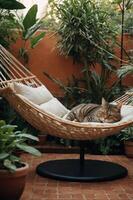 A cat peacefully sleeps on a hammock surrounded by lush greenery in a tranquil setting. photo