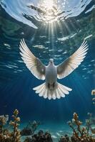 A dove gracefully swims underwater, illuminated by sunlight, surrounded by coral. photo