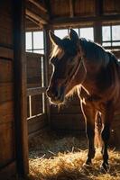 A horse stands in a stable, illuminated by natural light, surrounded by straw. photo